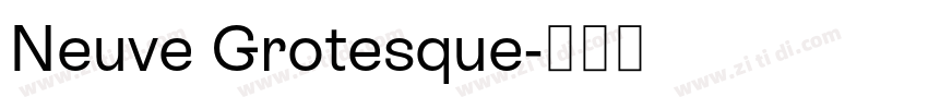 Neuve Grotesque字体转换